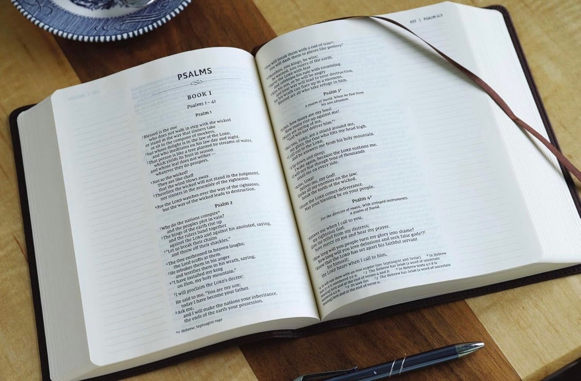 NIV Bible