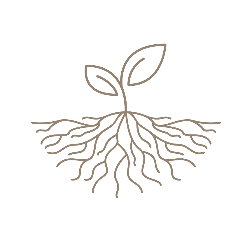 Rooted & Redeemed Collection