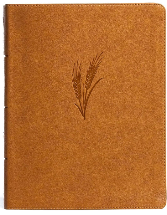 KJV Bible